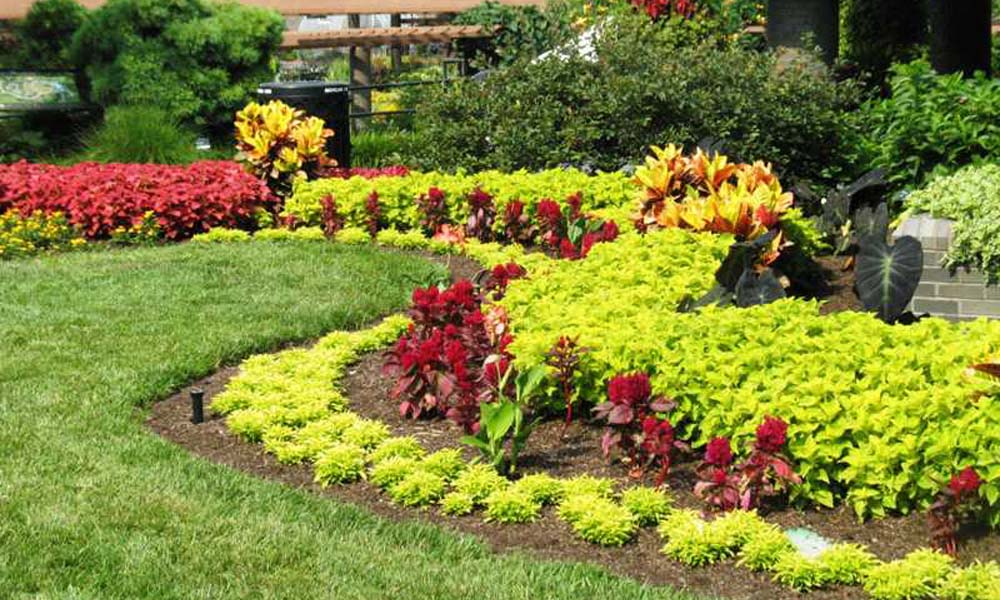CIDI-Training Center for Gardening & Landscaping, Gardeners, Gardens, Kampala Uganda Gardening and Landscaping, Home Decor, Interior & Exterior Design, Herbs, Flowers, Flower Pots Kampala Uganda, Ugabox