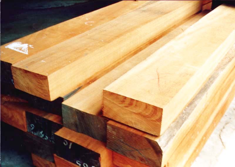 Mahogany Timber, Pine Timber, Eucalyptus Timber, Hardwood, Softwood, Timbers, Denis Timber Sales Ndeeba Kampala Uganda, Ugabox