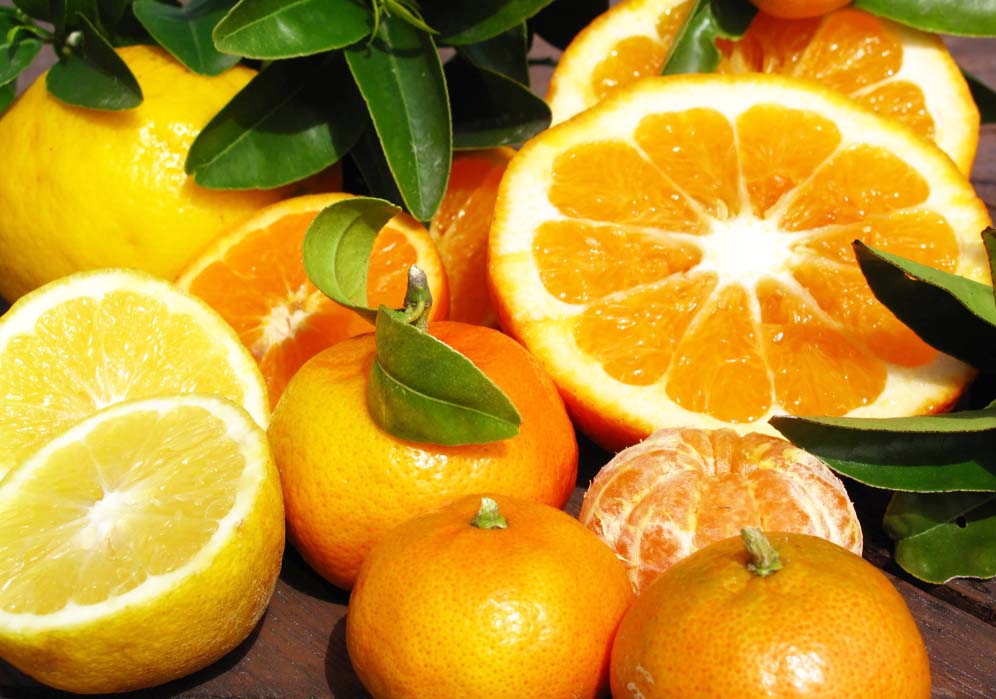 Emiteesa Investments Uganda Limited Kampala Uganda Fruit Seedlings