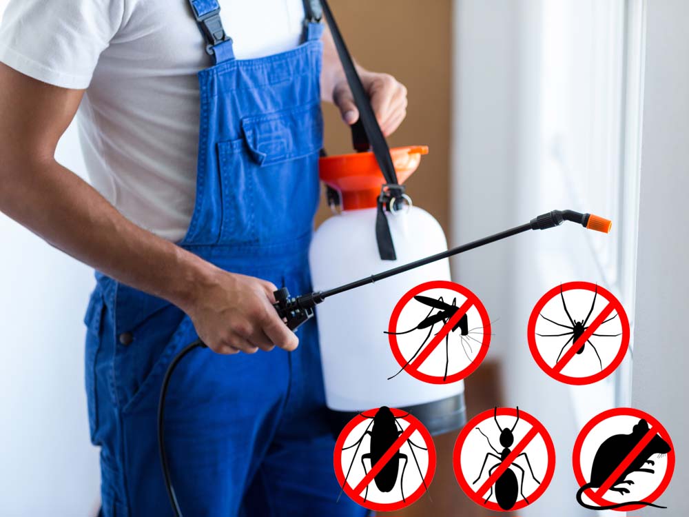 Fumigation and Pest Control in Kampala Uganda, Cleaning Services in Uganda, Home Cleaning, Office Cleaning, Industrial Cleaning Services in Uganda, Myriad Technology Services Uganda