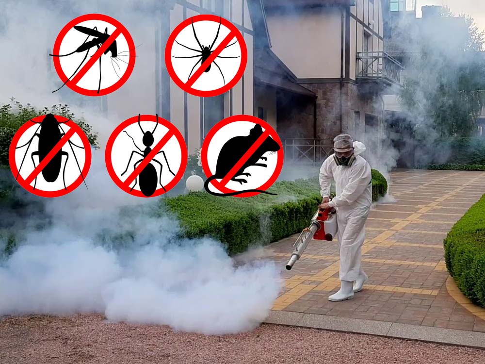 Fumigation and Pest Control in Kampala Uganda, Cleaning Services in Uganda, Home Cleaning, Office Cleaning, Industrial Cleaning Services in Uganda, Myriad Technology Services Uganda