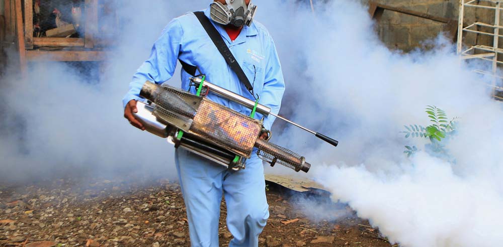 Fumigation, Pest Control, Companies in Kampala Uganda, Ugabox