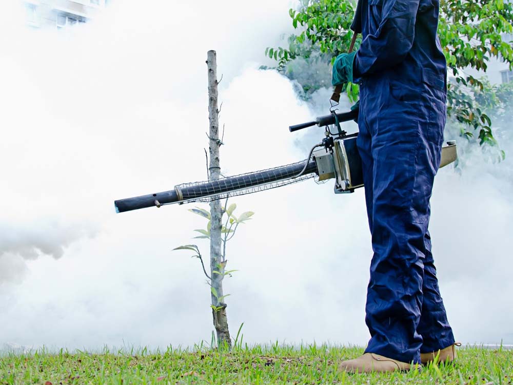 Promise Fumigators Kampala Uganda. Uganda Experts in Fumigation, Pest Control & Cleaning Services: Homes, Offices, Hospitals, Schools, Hotels, Restaurants, Supermarkets, Residential Homes & Apartments. Ugabox.com