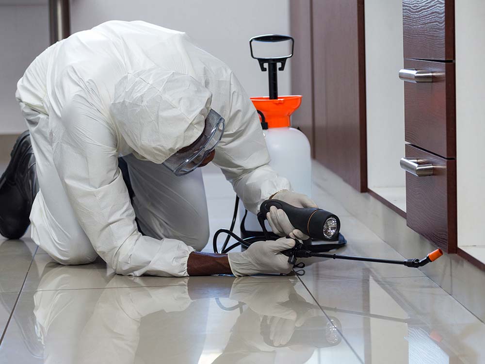 Promise Fumigators Kampala Uganda. Uganda Experts in Fumigation, Pest Control & Cleaning Services: Homes, Offices, Hospitals, Schools, Hotels, Restaurants, Supermarkets, Residential Homes & Apartments. Ugabox.com