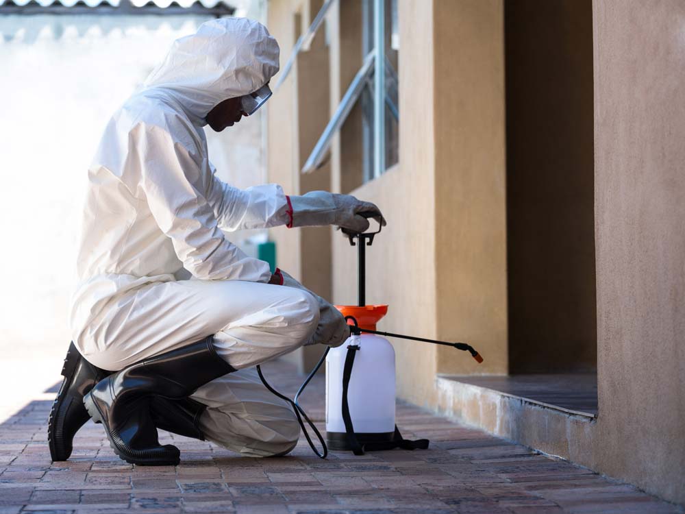 Promise Fumigators Kampala Uganda. Uganda Experts in Fumigation, Pest Control & Cleaning Services: Homes, Offices, Hospitals, Schools, Hotels, Restaurants, Supermarkets, Residential Homes & Apartments. Ugabox.com