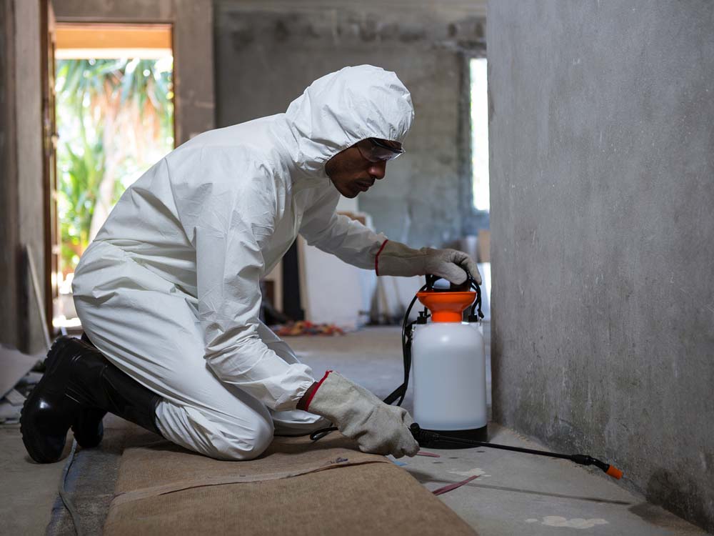 Promise Fumigators Kampala Uganda. Uganda Experts in Fumigation, Pest Control & Cleaning Services: Homes, Offices, Hospitals, Schools, Hotels, Restaurants, Supermarkets, Residential Homes & Apartments. Ugabox.com