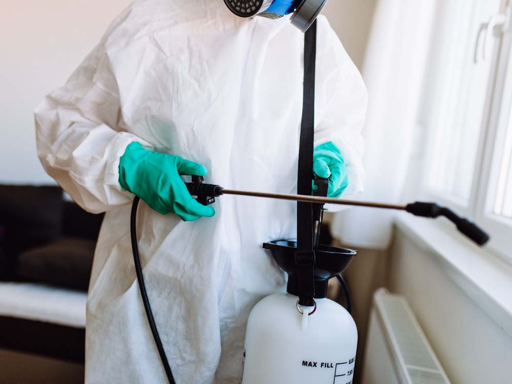 Uganda Fumigation, Cleaning and Pest Control Experts in Kampala Uganda, Promise Fumigators Uganda, Ugabox