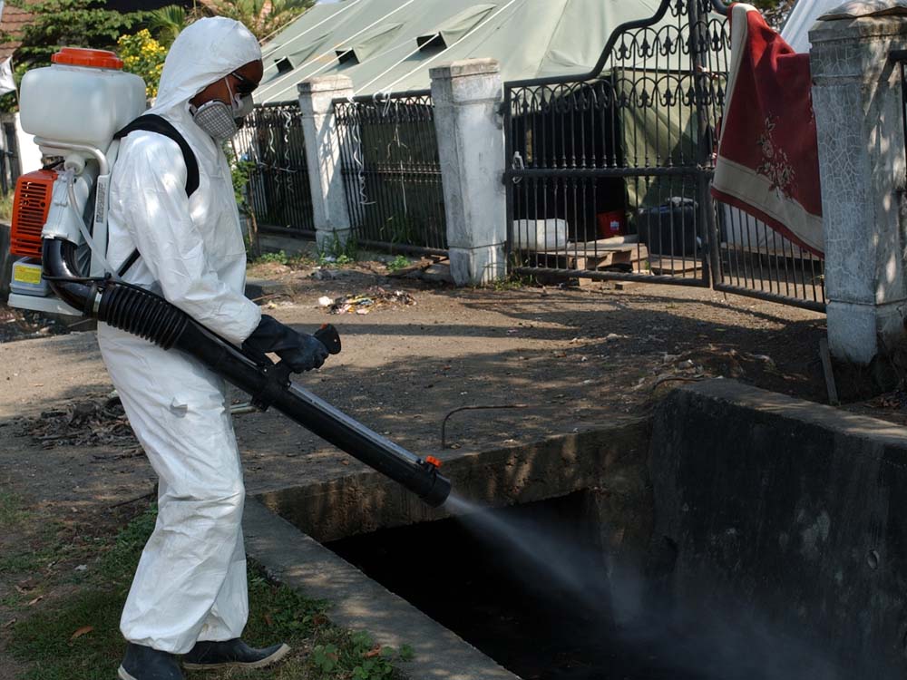 Uganda Fumigation, Cleaning and Pest Control Experts in Kampala Uganda, Promise Fumigators Uganda, Ugabox