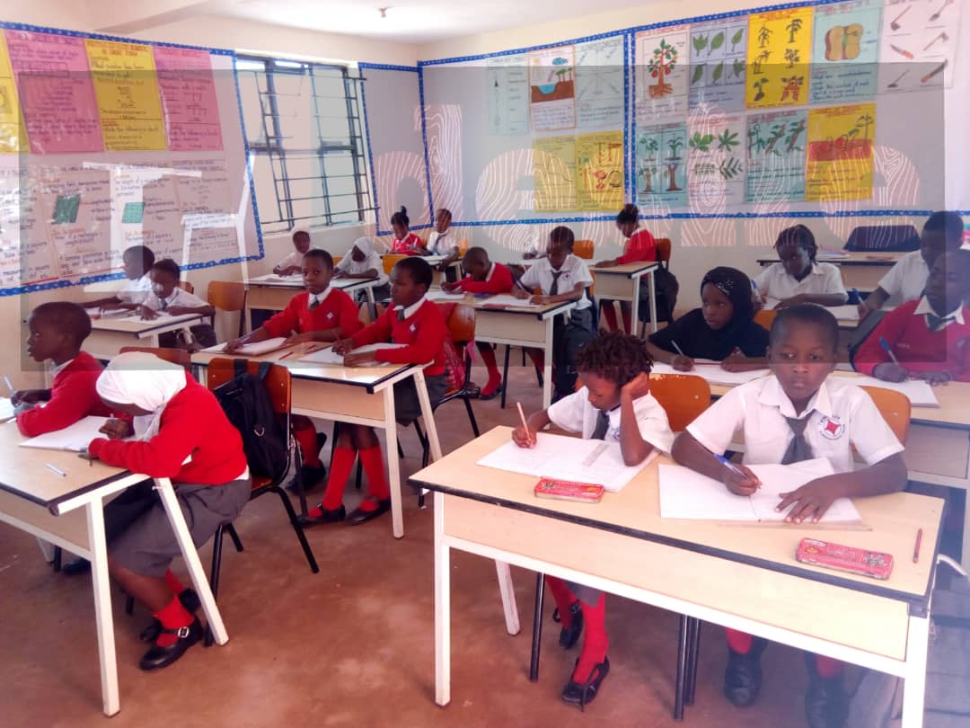 Desks & Chairs Kampala Uganda, School Furniture Supplier in Uganda for Nursery / Kindergarten, Primary, Secondary, University/Higher Institutions of Learning (Tertiary Institutions) Kampala Uganda, Desire School Furniture Uganda