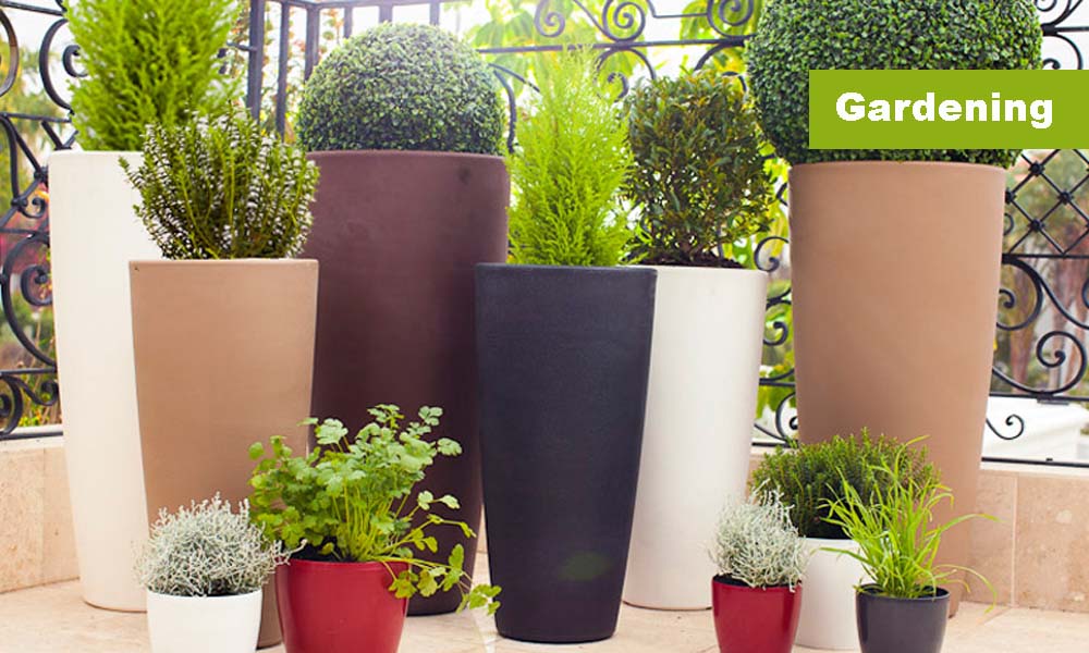 All Things Beautiful, Gardeners, Gardens, Kampala Uganda Gardening and Landscaping, Home Decor, Interior & Exterior Design, Herbs, Flowers, Flower Pots Kampala Uganda, Ugabox