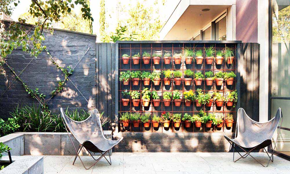 Go Green Uganda, Gardeners, Gardens, Kampala Uganda Gardening and Landscaping, Home Decor, Interior & Exterior Design, Herbs, Flowers, Flower Pots Kampala Uganda, Ugabox