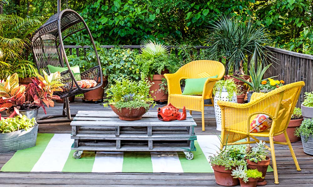 Iconic Hedges, Gardeners, Gardens, Kampala Uganda Gardening and Landscaping, Home Decor, Interior & Exterior Design, Herbs, Flowers, Flower Pots Kampala Uganda, Ugabox