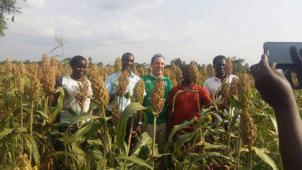 Talian Company Ltd, Kampala Uganda Talian Grain Millers Grain