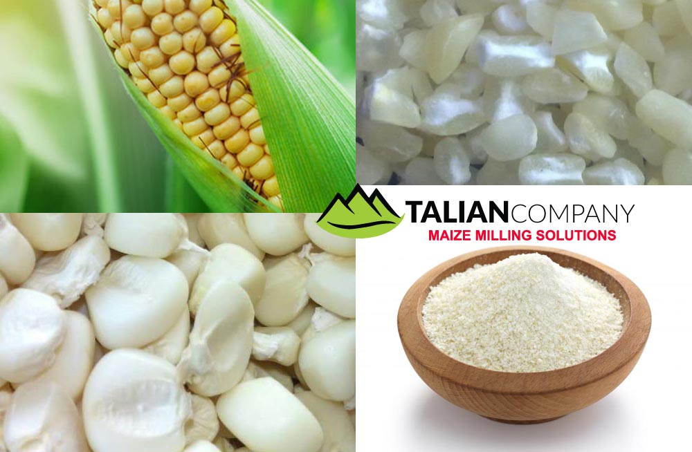 Talian Company Ltd, Kampala Uganda Talian Grain Millers Grain