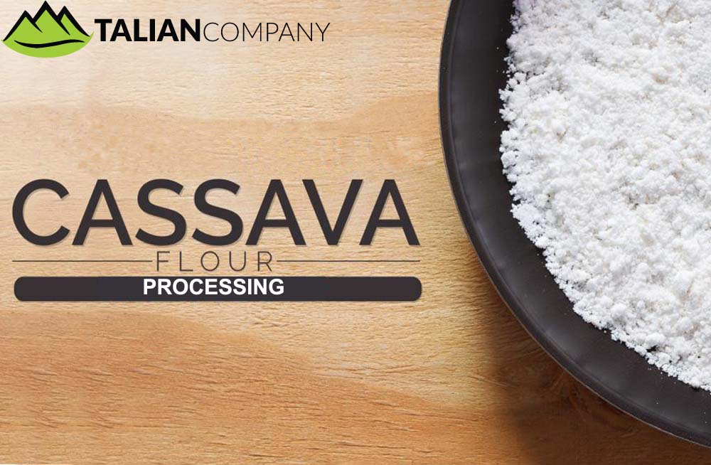 Talian Grain Millers Uganda, Kampala Maize and Cassava Milling, Food Processing & Farming, Suppliers of Maize Flour & Cassava Flour, Suppliers of Flour Milling Machinery for Maize, Wheat, Cassava, & Rice, Talian Company Uganda