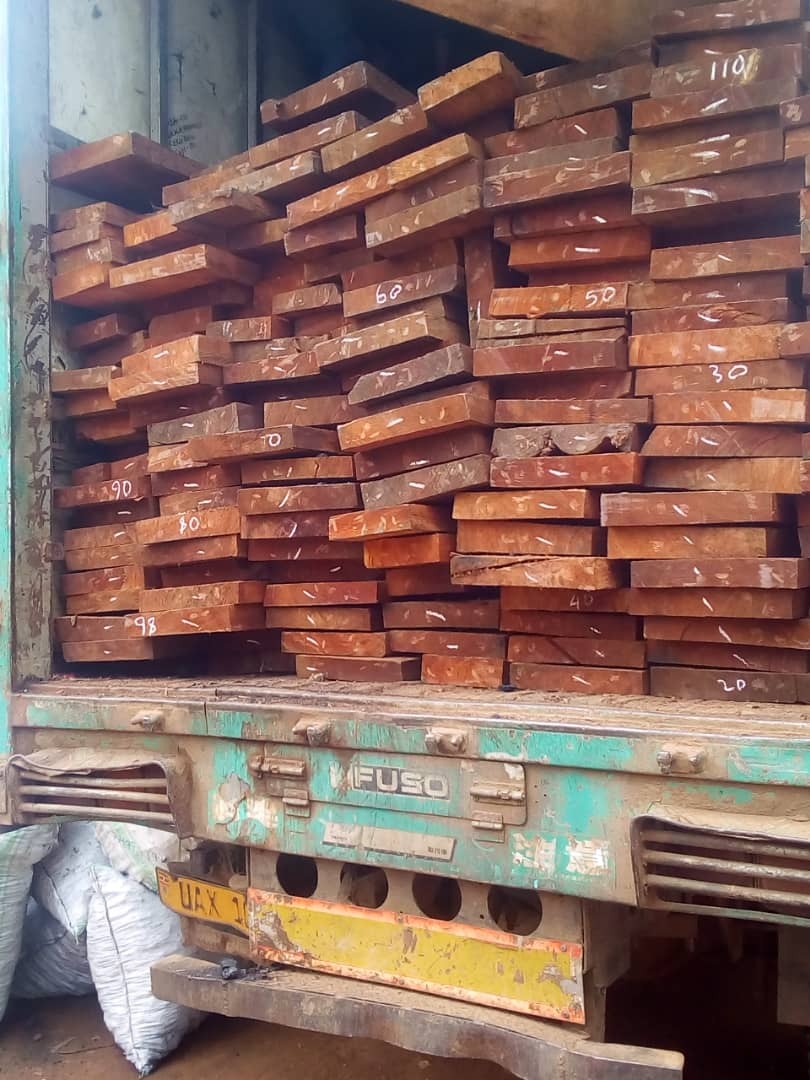 Timber Supply in Uganda. Mahogany and Pine Timber Store in Kampala Uganda, JENEJO TRADERS Uganda, Ugabox