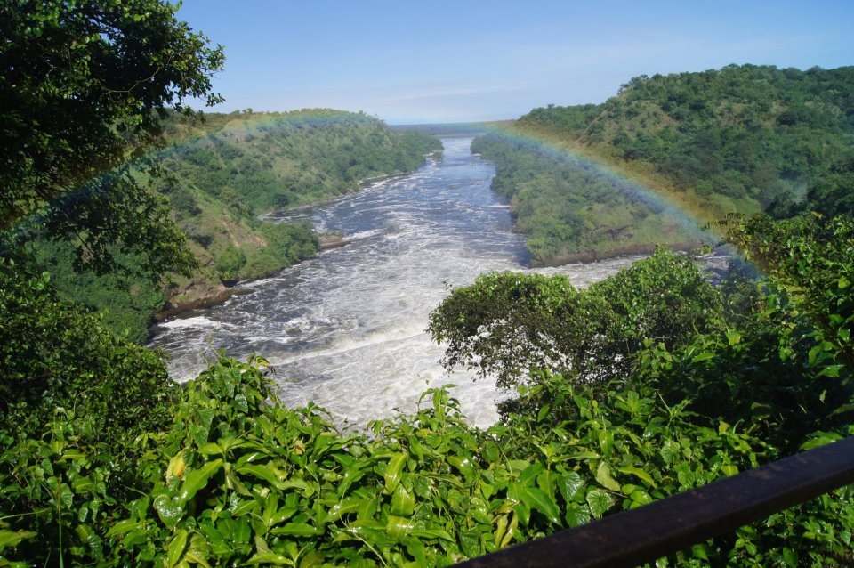 1000 Shades of Green Tour and Safaris Uganda, Gorilla Tracking, Chimpanzee Tracking, Mountaineering, White Water Rafting, Wildlife Viewing, Birding, Honeymoon, Culture & Nature Tours, Primate Safaris, Kigali Rwanda & Kampala Uganda