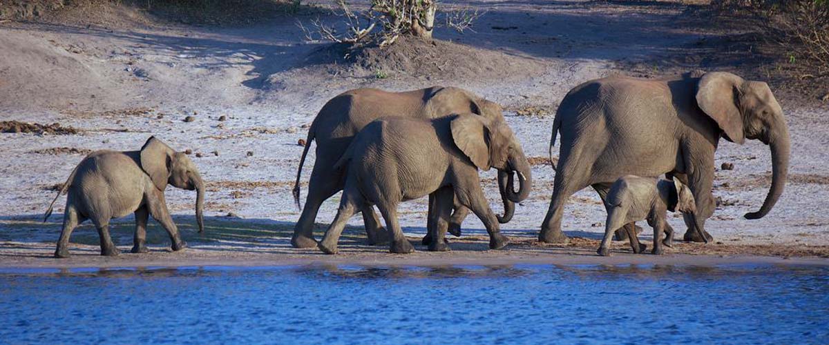 Botswana. Botswana Tourist Attractions. Botswana Holiday Destinations, Tours And Travel. Botswana Business And Investment. Information, Tourism, Trade, Brands And Companies. Ugabox.com