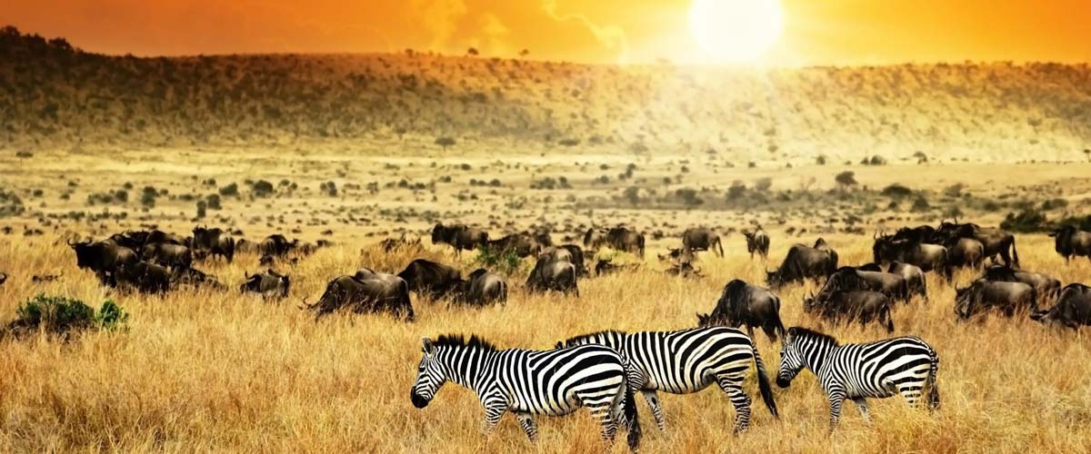 Kenya. Kenya Tourist Attractions. Kenya Holiday Destinations, Tours And Travel. Kenya Business And Investment. Information, Tourism, Trade, Brands And Companies. Ugabox.com