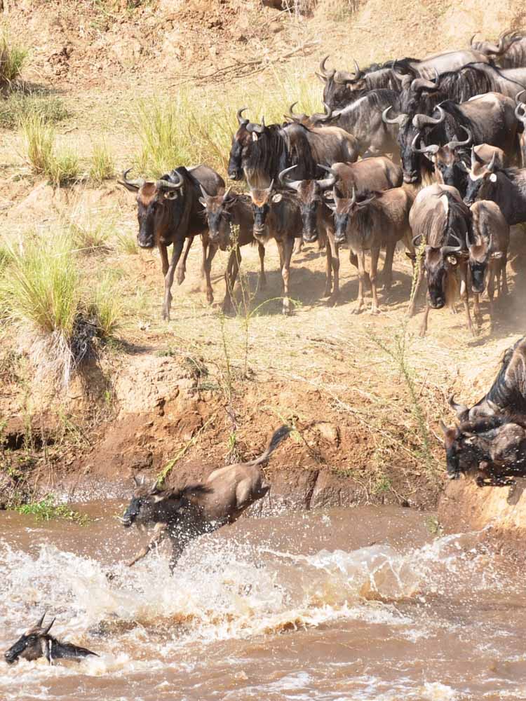 Top Attractions Kenya. Kenya Leading Tourist Attractions. Holiday Tours And Travel. Ugabox.com