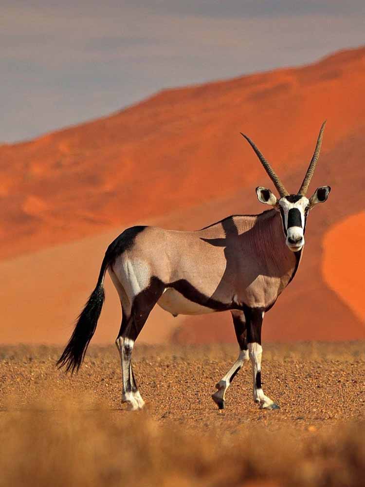 Top Attractions Namibia. Namibia Leading Tourist Attractions. Holiday Tours And Travel. Ugabox.com