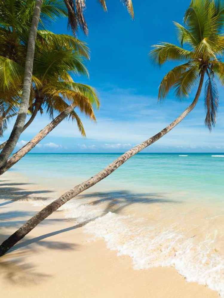 Top Attractions Trinidad and Tobago. Trinidad and Tobago Leading Tourist Attractions. Holiday Tours And Travel. Ugabox.com