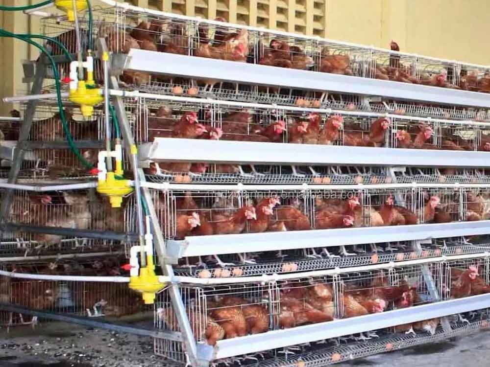 Chicken Cage for Sale in Uganda. Agricultural Equipment Store. Agro Machinery, Farm Machines/Farm Tools Supplier in Kampala Uganda. Agro Machinery Shop Online in Kampala Uganda. Machinery Uganda, Ugabox