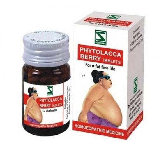 Phytolacca Berry Tablets for Sale in Uganda, Phytolacca Berry Tablets for Effective Weight Management, Herbal Medicine & Supplements Shop in Kampala Uganda, Ugabox