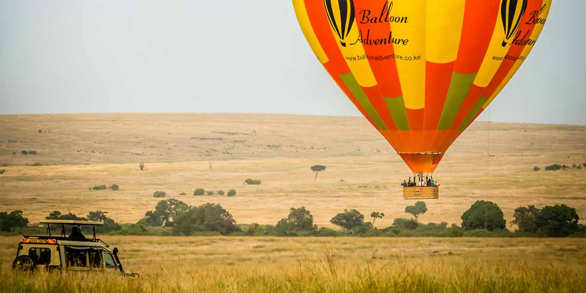 Global Information on Safari Activities. Safari Activities Youtube Videos: Information, Tour, Travel, Tourism, Business, Companies, Trade, Investment, Brands, Marketing, Tourism Marketing, Tourism Destinations, Business Markets Globally. Ugabox.com