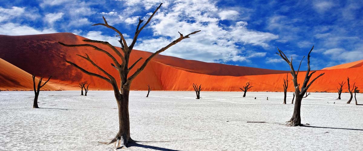 Visit Namibia. Explore Namibia's breathtaking landscapes. From the red dunes of Sossusvlei to the wildlife of Etosha, experience stunning beauty and adventure. Discover Namibia's unique charm! Africa Safaris. Africa Tours And Travel. Ugabox.com